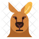 پیش‌نمایش فایل kangaroo-7104356 از پک Kangaroo