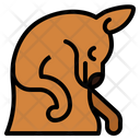 پیش‌نمایش فایل sleeping-kangaroo-7104274 از پک Kangaroo