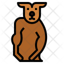 پیش‌نمایش فایل strong-kangaroo-7104277 از پک Kangaroo