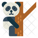 پیش‌نمایش فایل panda-on-tree-7104629 از پک Panda