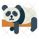 پیش‌نمایش فایل sleeping-panda-7104642 از پک Panda