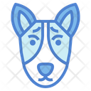 پیش‌نمایش فایل basenji-dog-7104791 از پک سگ‌ها
