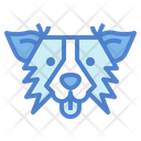 پیش‌نمایش فایل border-collie-dog-7104794 از پک سگ‌ها