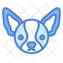 پیش‌نمایش فایل chihuahua-dog-7104798 از پک سگ‌ها