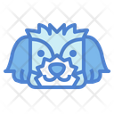 پیش‌نمایش فایل shih-tzu-dog-7104823 از پک سگ‌ها