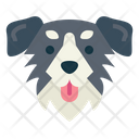 پیش‌نمایش فایل australian-shepherd-7104754 از پک سگ‌ها