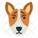 پیش‌نمایش فایل basenji-dog-7104755 از پک سگ‌ها