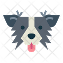 پیش‌نمایش فایل border-collie-dog-7104758 از پک سگ‌ها