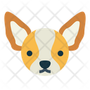 پیش‌نمایش فایل chihuahua-dog-7104762 از پک سگ‌ها