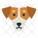 پیش‌نمایش فایل jack-russell-7104773 از پک سگ‌ها