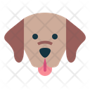 پیش‌نمایش فایل labrador-retriever-7104774 از پک سگ‌ها