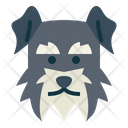 پیش‌نمایش فایل miniature-schnauzer-7104775 از پک سگ‌ها
