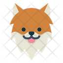 پیش‌نمایش فایل pomeranian-dog-7104778 از پک سگ‌ها