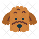 پیش‌نمایش فایل poodle-dog-7104779 از پک سگ‌ها