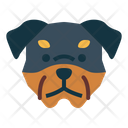 پیش‌نمایش فایل rottweiler-dog-7104782 از پک سگ‌ها