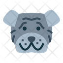 پیش‌نمایش فایل shar-pei-dog-7104785 از پک سگ‌ها