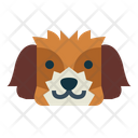 پیش‌نمایش فایل shih-tzu-dog-7104787 از پک سگ‌ها