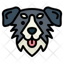 پیش‌نمایش فایل australian-shepherd-7104682 از پک سگ‌ها