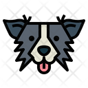 پیش‌نمایش فایل border-collie-dog-7104686 از پک سگ‌ها