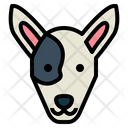 پیش‌نمایش فایل bull-terrier-dog-7104688 از پک سگ‌ها