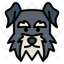 پیش‌نمایش فایل miniature-schnauzer-7104703 از پک سگ‌ها
