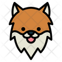 پیش‌نمایش فایل pomeranian-dog-7104706 از پک سگ‌ها