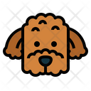 پیش‌نمایش فایل poodle-dog-7104707 از پک سگ‌ها