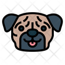 پیش‌نمایش فایل pug-dog-7104708 از پک سگ‌ها