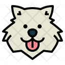 پیش‌نمایش فایل samoyed-dog-7104712 از پک سگ‌ها