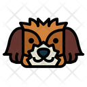 پیش‌نمایش فایل shih-tzu-dog-7104715 از پک سگ‌ها