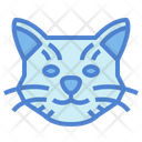 پیش‌نمایش فایل british-shorthair-cat-7104937 از پک گربه‌ها