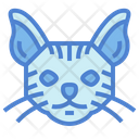 پیش‌نمایش فایل chausie-cat-7104941 از پک گربه‌ها