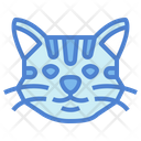پیش‌نمایش فایل manx-cat-7104947 از پک گربه‌ها