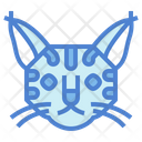 پیش‌نمایش فایل pixie-bob-cat-7104954 از پک گربه‌ها