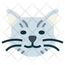 پیش‌نمایش فایل british-shorthair-cat-7104901 از پک گربه‌ها