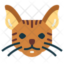 پیش‌نمایش فایل chausie-cat-7104905 از پک گربه‌ها