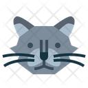 پیش‌نمایش فایل nebelung-cat-7104913 از پک گربه‌ها