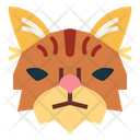 پیش‌نمایش فایل norwegian-forest-cat-7104914 از پک گربه‌ها
