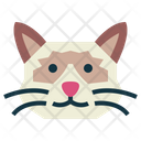 پیش‌نمایش فایل ragdoll-cat-7104919 از پک گربه‌ها