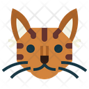 پیش‌نمایش فایل serengeti-cat-7104922 از پک گربه‌ها