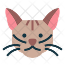 پیش‌نمایش فایل singapura-cat-7104926 از پک گربه‌ها