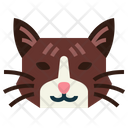 پیش‌نمایش فایل snowshoe-cat-7104927 از پک گربه‌ها