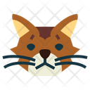 پیش‌نمایش فایل somali-cat-7104928 از پک گربه‌ها
