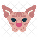 پیش‌نمایش فایل sphynx-cat-7104929 از پک گربه‌ها