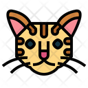 پیش‌نمایش فایل american-wirehair-cat-7104826 از پک گربه‌ها