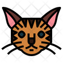 پیش‌نمایش فایل bengal-cat-7104827 از پک گربه‌ها