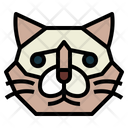 پیش‌نمایش فایل birman-cat-7104828 از پک گربه‌ها