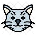 پیش‌نمایش فایل british-shorthair-cat-7104829 از پک گربه‌ها