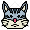 پیش‌نمایش فایل burmilla-cat-7104831 از پک گربه‌ها