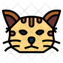 پیش‌نمایش فایل cat-7104832 از پک گربه‌ها